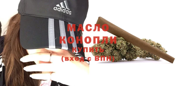 дживик Богородск