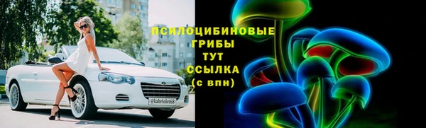 гидра Бугульма