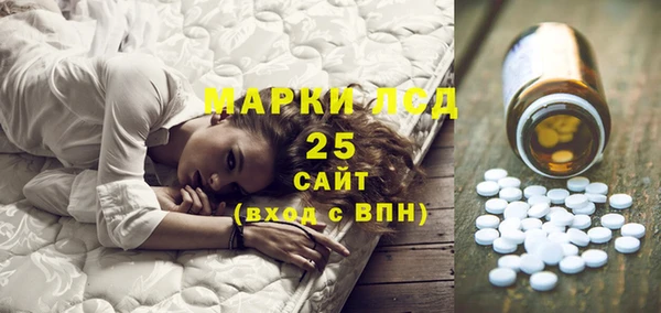 дживик Богородск