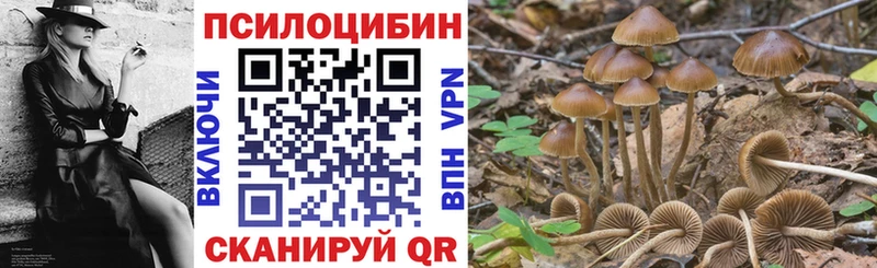 Псилоцибиновые грибы Magic Shrooms  Вятские Поляны 
