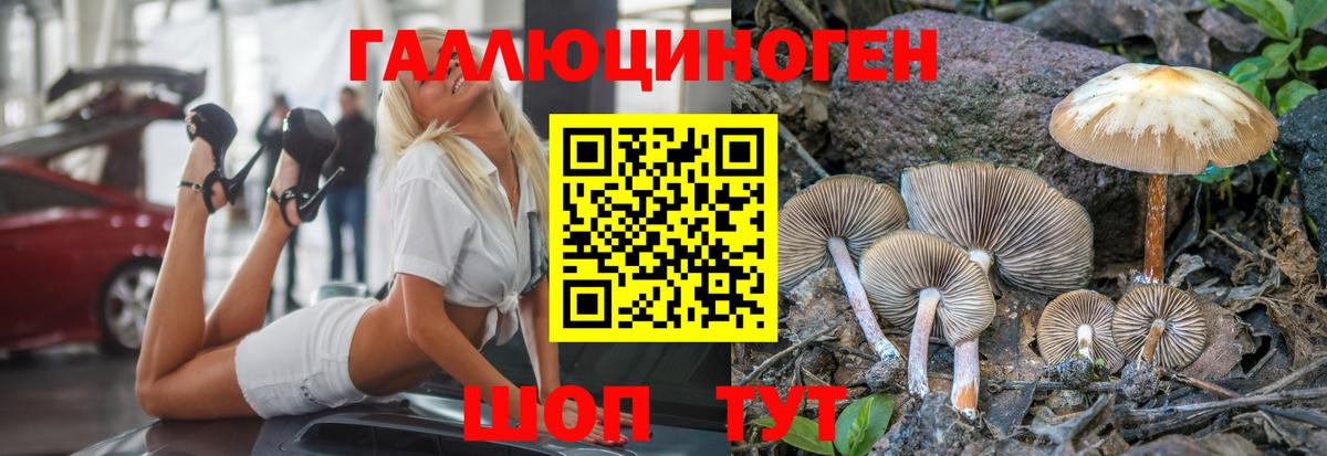 Псилоцибиновые грибы мицелий Вятские Поляны